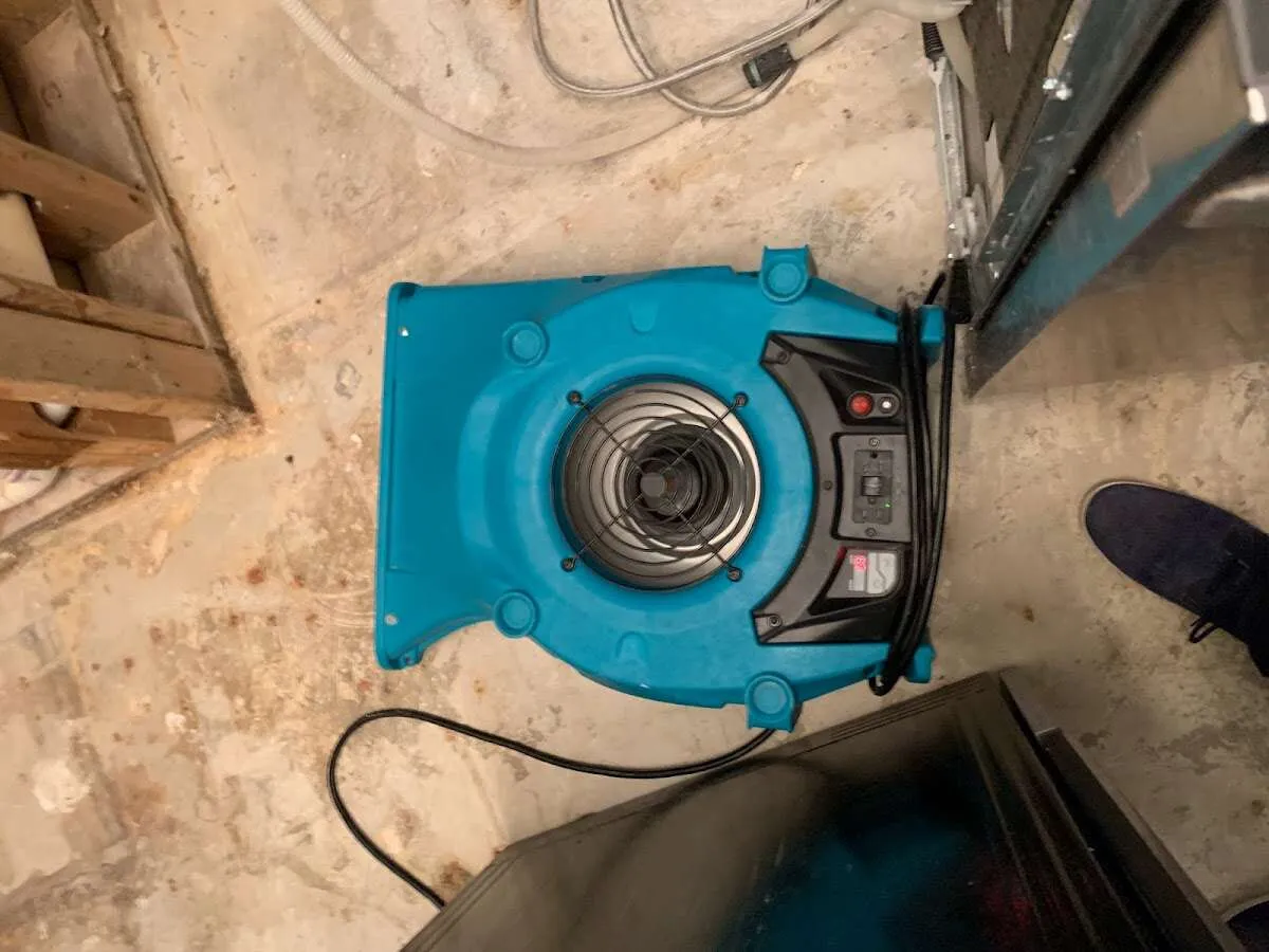 Air mover drying equipment for Mold Remediation & Removal in Lufkin